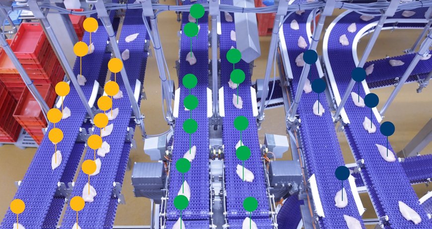 ProFlow software aligns breast meat with orders